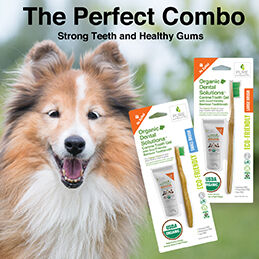 PR8 - Pure and Natural Pet Organic Dental Solutions Dental Kits.jpg